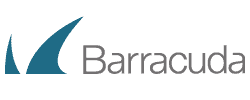 Barracuda cyber security